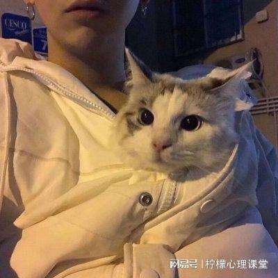 三国之乱世风云手游下载