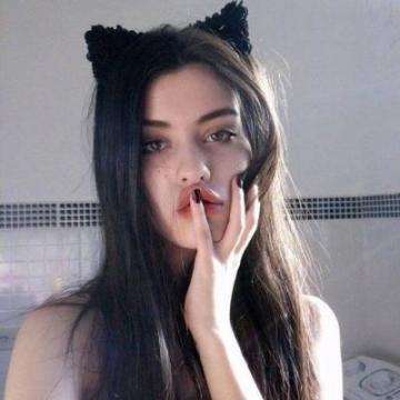 主播生活记手游下载